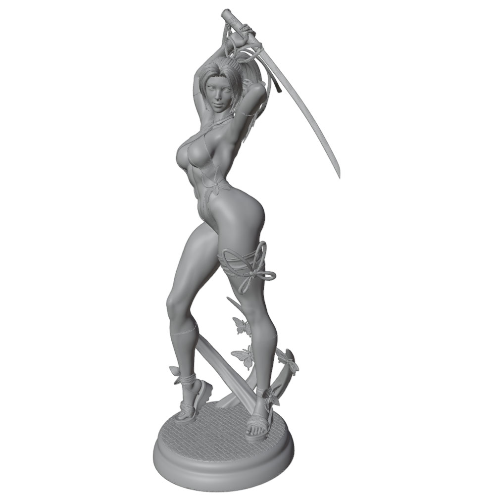 1/24 Mujer 	 Kits de modelos d - 3D Printing Ultem reseña y precio