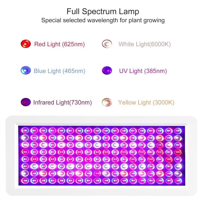 Última caja de luz UV 2026 par - Resin Curing Station reseña y precio