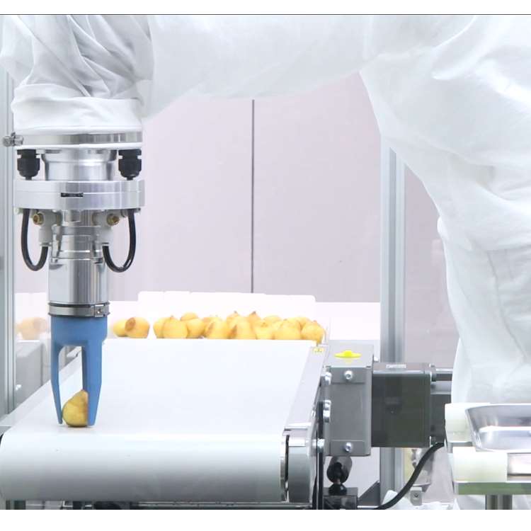 Brazo Robótico CNC de 6 Ejes c - Linear Guide Rail reseña y precio
